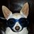 Amanda Fitzgerald Jordan's profile image