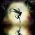 Darla Jo Staley Derigo's profile image