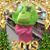 Amanda Jackson's profile image