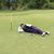 Newy Koenning's profile image