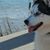 Julie Ash's profile image