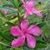 Kellie Elson's profile image
