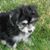 Clair Farmer Fry's profile image