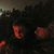 Justin Zimmerman's profile image
