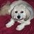 Roberta Bates's profile image