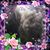 Carrie L. Hart's profile image