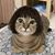 Marini Driskill's profile image