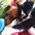 Tabatha Saunders's profile image