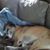 Diane Strauss's profile image