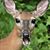 Mike Moore's profile image