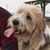Joan Risney Johnson's profile image