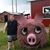 Heather Ladd-Stygles's profile image
