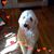 Sonny Keener's profile image