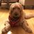 Regina Birone Macke's profile image