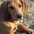 Tessia A. Cunningham's profile image