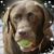 Ruth McIlwain Nolan's profile image