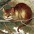 Vallaurie Crawford's profile image