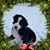 Connie Smith's profile image