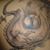 Cori M. Foster's profile image