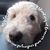 Dawn Lippert Burgett's profile image