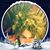 Viviane Sabol's profile image
