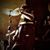 Ramon Rodriguez's profile image