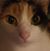 Alicia Branch's profile image