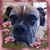Lori Martinez's profile image
