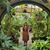Rylee Cotey's profile image