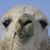 Caroline Owen's profile image