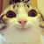 Lisa Weller's profile image