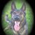 Carole Greenberg's profile image