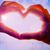 Cyndi Chouinard's profile image