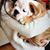 Glenda Arnold VanArsdale's profile image