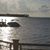 Dianna L. Pierpont's profile image