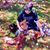 Terry Niederer's profile image