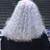 Ann Toast's profile image