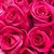 Karen Allyn's profile image