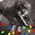 Leslie Von Seggern Monismith's profile image