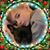 Jennifer Marrocco Pollard's profile image