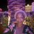 Dene Robinson's profile image
