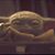 Chris Pressler's profile image