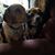 Terri Pearsall's profile image