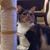 Sandy Sherwood's profile image
