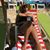 Krista Chase's profile image