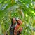 Destany Chandlee's profile image