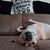 Joyelle Brower's profile image