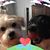 Traci Lloyd Whitten's profile image