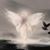 Cyndi Pittenger's profile image