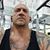 Dave Killit Sirekis's profile image